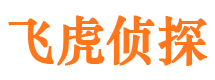 达坂城市调查公司